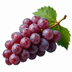 Fototapeta premium Raceme of red grapes with water drops. Round sugared juicy berry, vitis vinifera on table against transparent background. Wine ingredient, grape harvest from farmland.