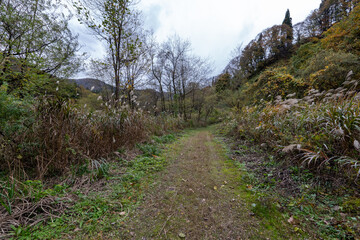 Historic old road “Salt Road” which is also a long distance hiking course and its surroundings
