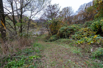 Historic old road “Salt Road” which is also a long distance hiking course and its surroundings