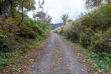 Historic old road “Salt Road” which is also a long distance hiking course and its surroundings