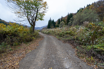 Historic old road “Salt Road” which is also a long distance hiking course and its surroundings