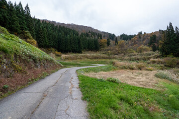 Historic old road “Salt Road” which is also a long distance hiking course and its surroundings