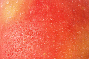 Red and yellow apples with water drops macro photo as a background.