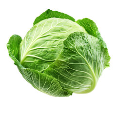 Fototapeta premium A whole fresh cabbage floating against a white background, highlighting its crisp green leaves and natural texture.