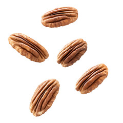 A collection of raw pecan nuts with a textured shell, isolated on white.