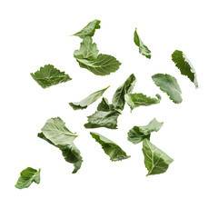 Fresh, green leafy kale leaves in mid-air, isolated on white.