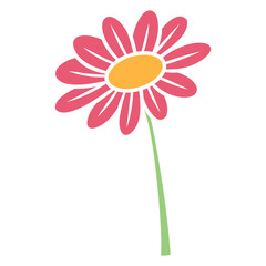 pink daisy flower
