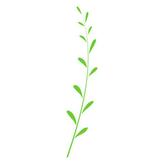 green nature plant illustration