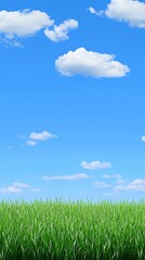 Obraz premium Vibrant Green Grass Field Under a Bright Blue Sky with Fluffy White Clouds