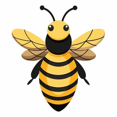 bee illustration on white background