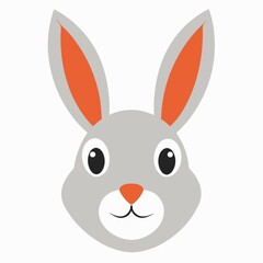 rabbit illustration on white background