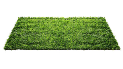 green grass in a form of the rectangle on white background