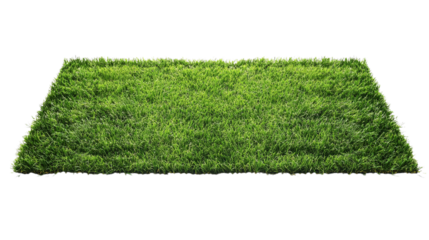 green grass in a form of the rectangle on white background