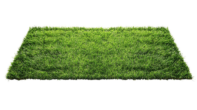 green grass in a form of the rectangle on white background