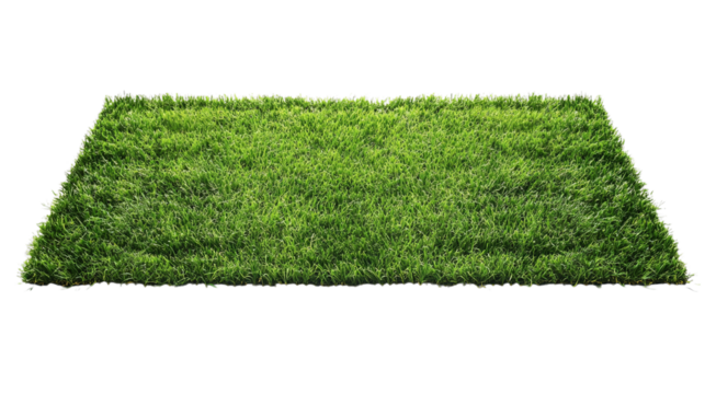 green grass in a form of the rectangle on white background