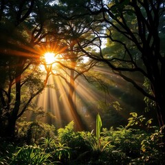  Sunlight Streaming Through Dense Trees of an Untamed Jungle, Illuminating Green Underbrush