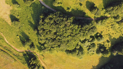 Tranquil sunny summer landscape with green fields and hills.