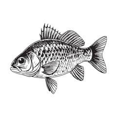 Fish Vector 