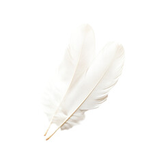 Obraz premium Two Delicate White Feathers Light and Airy Softness and Grace
