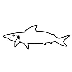 Shark Outline Vector 