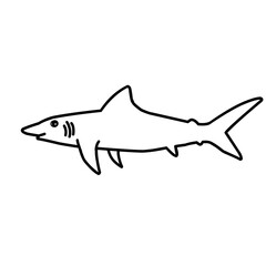 Shark Outline Vector 