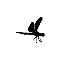 Dragonfly Silhouette 