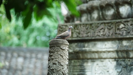 The classical architectures view located in the temple of the China