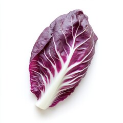 Obraz premium Fresh radicchio leaf showcases vibrant colors and intricate veins, perfect for salads and garnishes