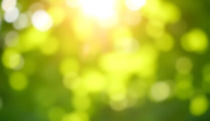 Obraz premium Beautiful bokeh background of lush green garden trees bathed in warm sunlight