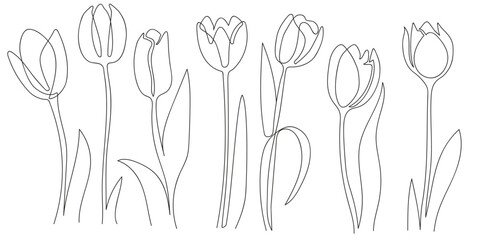 Abstract floral hand drawing outline tulips isolated on white background. Set of tulips one line art black and white.Tulip flowers vector line art big set.