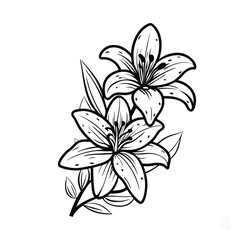 A Lily Flower Line Art vector with Bold Outline on white background