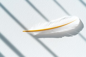 Illusion of Weightlessness - Contrasting Perception and Reality with Giant Feather Casting Heavy Shadow on Ground