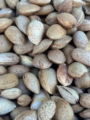 close up of nuts