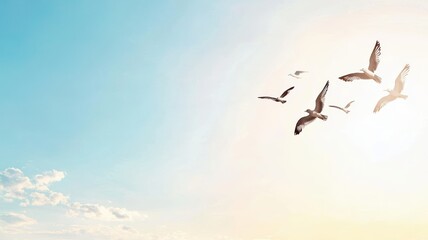 Fototapeta premium Birds soaring against a bright sky, capturing a sense of freedom and tranquility.