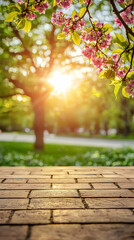 Pink Blossom Tree in a Sunny Park