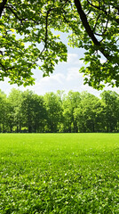 Obraz premium Vibrant Green Field and Lush Trees under Sunny Summer Sky