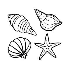 set of sea shells vector