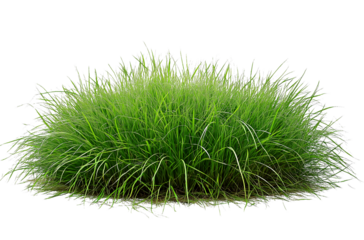 A photo of an Indian woman sitting at her desk in front of a laptop transparent background