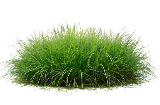 A photo of an Indian woman sitting at her desk in front of a laptop transparent background - Powered by Adobe