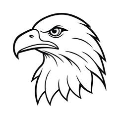 american bald eagle