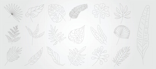 Fototapeta premium Monstera palm icons set drawings of leaves and other botanical elements.