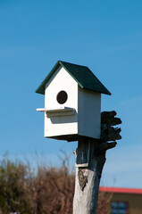 Drangsnes Iceland, painted bird house on tree stump in garden