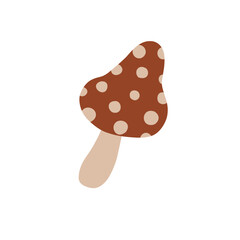 Autumn mushroom on isolated white