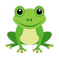 green frog illustration on white background