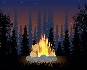 Night wood and burning campfire on glade © santa43