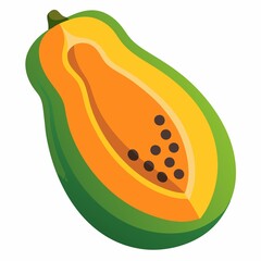 fruit illustration on white background