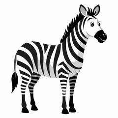zebra illustration on white background