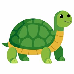 turtle illustration on white background