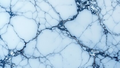 Close-up view of a striking blue-veined white marble.
