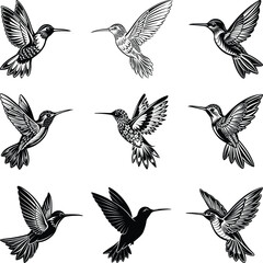 Set of hummingbird vector silhouette 03 Black Bird Wing Illustration Bundle